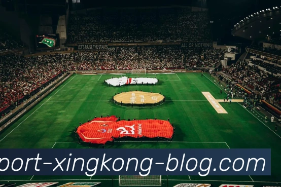 多媒体互动体验